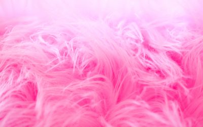 … El rapado de pelo