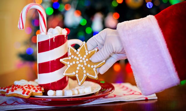 NavidaD, ¿Tiene saboR?